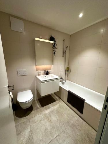 Seeblick Wohnung in Wollishofen