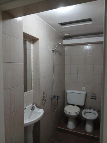 a bathroom with a toilet and a sink at Pin-up hostel in Rosario