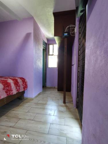 a hallway with purple walls and a bed in a room at Hospedaje 'Los Ángeles ' in Huasca de Ocampo