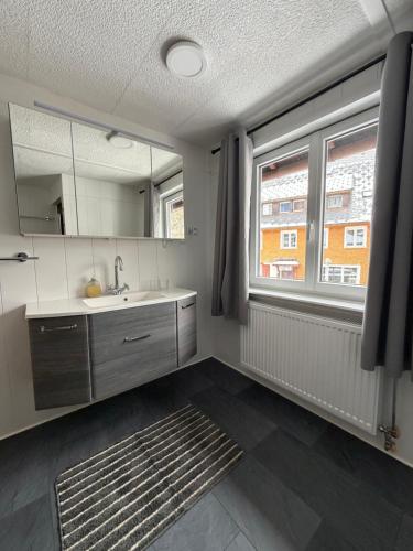 a bathroom with a sink and a large window at Ferienhaus HANA in St. Blasien
