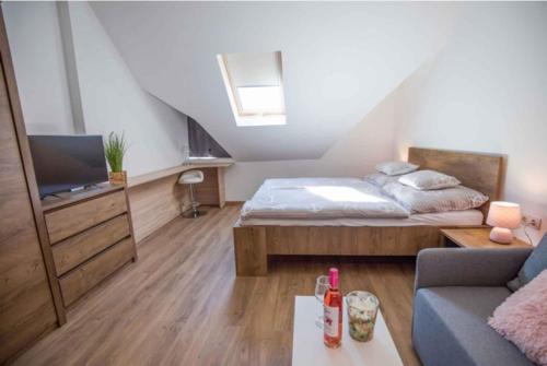 Studio Beachfront in Fonyod-Balaton 55423