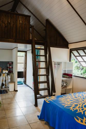 a bedroom with a bunk bed and a ladder in a room at FAKARAVA - Teariki Lodge 2 in Fakarava