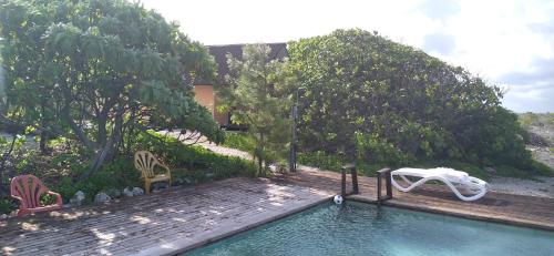a swimming pool with a white chair on a wooden deck at FAKARAVA - Teariki Lodge 2 in Fakarava