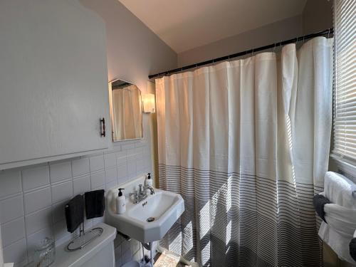 a bathroom with a sink and a shower curtain at Pets Welcome Walkable Downtown Apt Gym & Pool Pass in Sheridan
