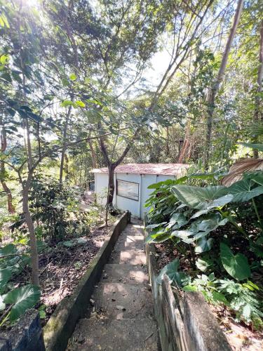 a small house in the middle of a forest at Casinha Natureza in Brasília