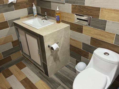 a bathroom with a sink and a toilet at Rey 179 in Morelia