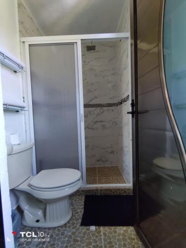 a bathroom with a white toilet and a shower at Hospedaje 'Los Ángeles ' in Huasca de Ocampo