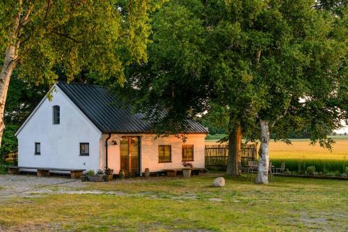 a small white house sitting in the middle of a field at Restored House With Art In Österlen in Borrby