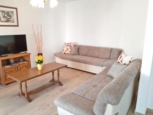 Apartment in Pula near Golf Course