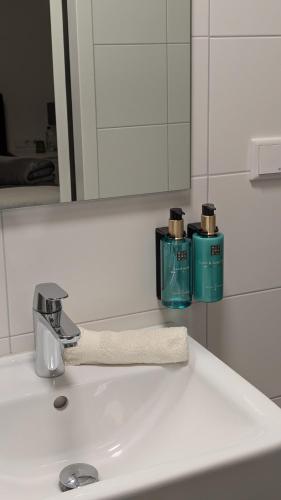 ein Waschbecken im Badezimmer mit zwei Seifenflaschen darauf in der Unterkunft Antonius Hoeve in Oudenbosch