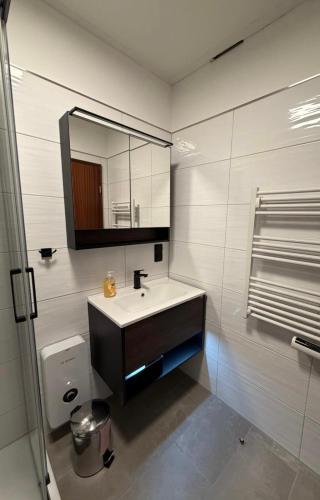 a bathroom with a sink and a mirror at Ferienwohnung Plaue Auszeit mit Privatstrand und Bootsliegeplatz in Zislow