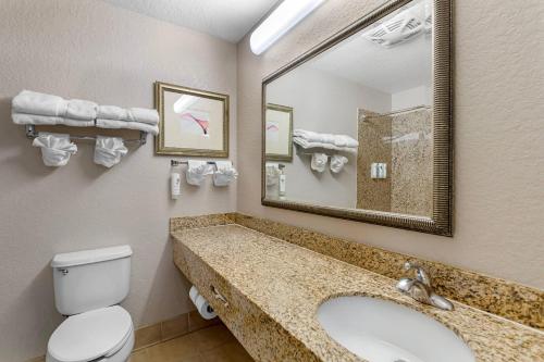 a bathroom with a sink and a toilet and a mirror at Country Inn & Suites by Radisson, Jacksonville West, FL in Jacksonville