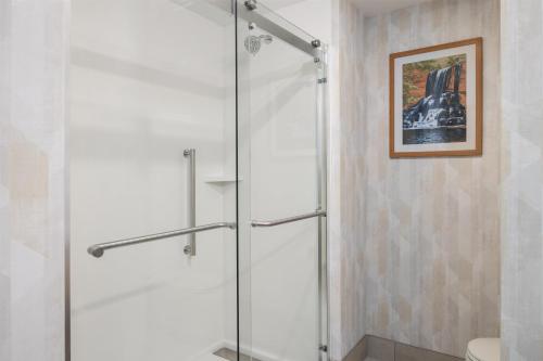 a shower with a glass door in a bathroom at Hampton Inn By Hilton Richmond Chester, VA in Chester