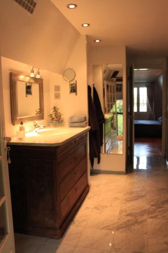 a bathroom with a sink and a mirror at La Bonne Auberge - Seine Panorama SAS in Vieux-Port
