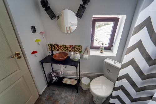a bathroom with a toilet and a sink and a mirror at Cabana La Cassian in Vulcan