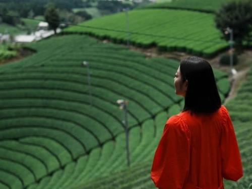 a woman standing in front of a green field at Fairfield by Marriott Kyoto Minamiyamashiro in Minamiyamashiro