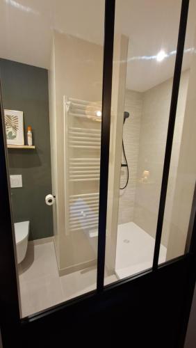 a bathroom with a shower and a toilet at LUCIA AL MARE - chambre d'hôtes in Châtelaillon-Plage