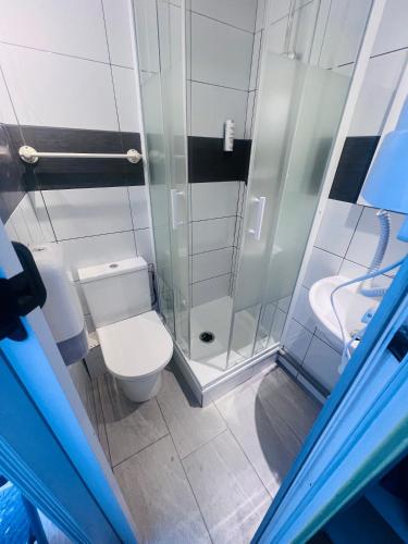 a bathroom with a shower and a toilet and a sink at Hôtel De La Cathédrale in Reims