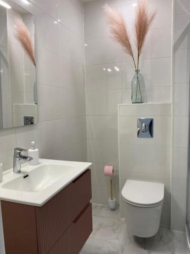 Beau studio front de mer Juan les pins vue mer exceptionnelle