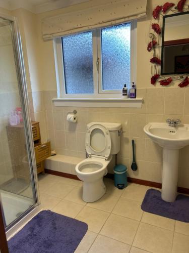 a bathroom with a toilet and a sink at Craigie dhu, guest house in Colliston