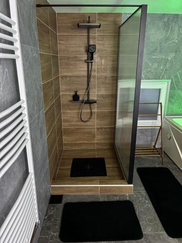 a shower with a glass door in a bathroom at Zen Lux in Zaječar