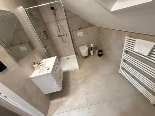 Draufsicht auf ein Badezimmer mit Dusche und Waschbecken in der Unterkunft Repeat Racing Rooms in Kelberg
