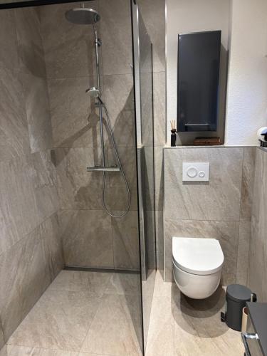 a bathroom with a shower with a toilet and a television at Ferienhaus Weitblick Sankt Wendel in Sankt Wendel