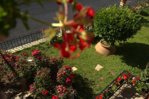 a garden with flowers and plants on the ground at La Luna in Kala Nera