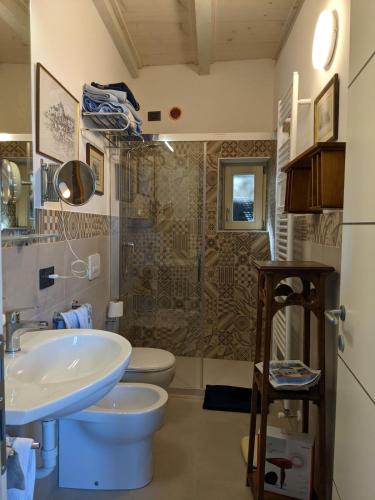 a bathroom with a sink and a toilet and a shower at The Rooster House A Study in Green in Someraro