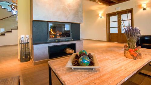 a living room with a fireplace and a tv at LES FEIXES LLARGUES - max 18 pax in Bolvir