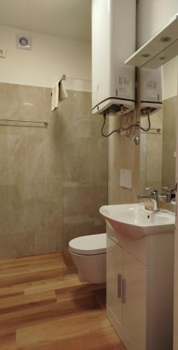 a bathroom with a white toilet and a sink at Apartments Paliska in Rabac
