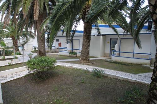a building with palm trees in front of it at Hotel Gabbiano in San Domino