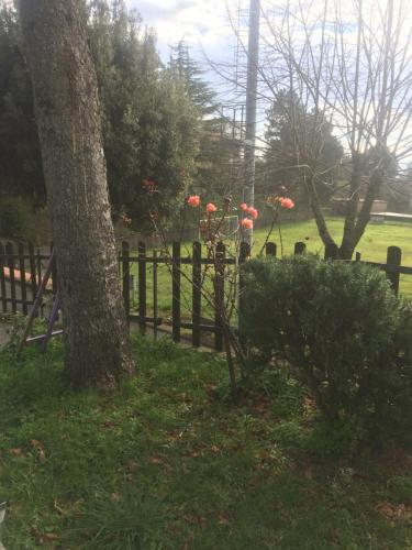 a person standing next to a fence with red flowers at La Palazzina in Chiusdino