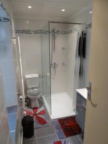 une salle de bain avec toilettes et douche en verre dans l'établissement Appartement centre médiéval - Le Cosy de Sarlat, à Sarlat-la-Canéda