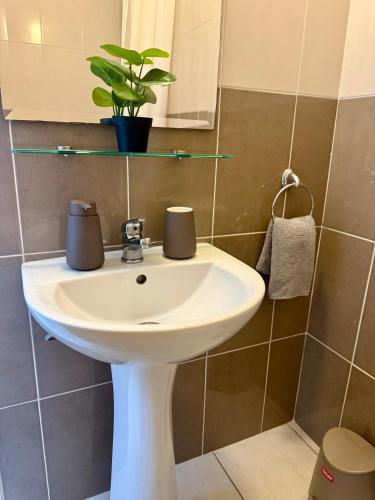a bathroom with a white sink and a plant at Polis Gardens Pool Apartment in Polis Chrysochous