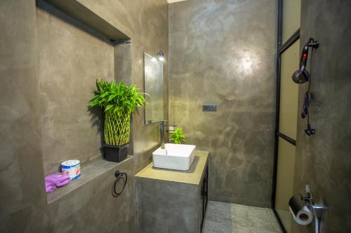 a bathroom with a sink and a plant on the wall at Hill Top Legacy in Ambalangoda