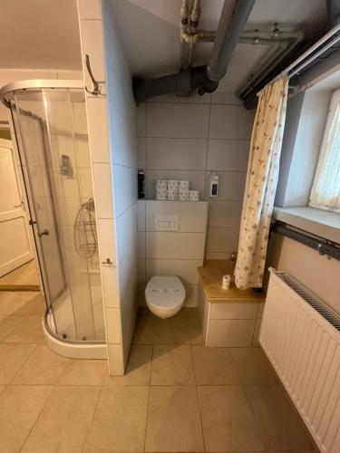 ein Badezimmer mit Toilette und Dusche in der Unterkunft AgroKrówka - Agroturystyka w Niecieczy in Nieciecza