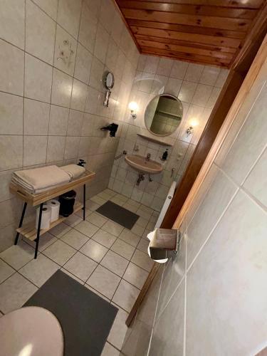 a bathroom with a toilet and a sink at Pferdehof Almgut - Reiten für Kinder, Natur und Erholung nahe Salzburg in Faistenau