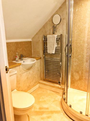 a bathroom with a toilet and a sink and a shower at Glenalbyn Cottage in Saint Fillans