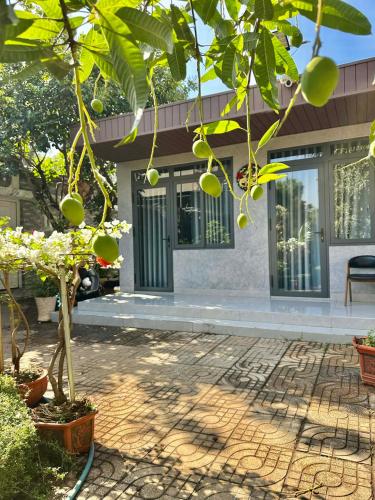 Gallery image of Homestay Buôn Mê 1 in Buôn Ðũng