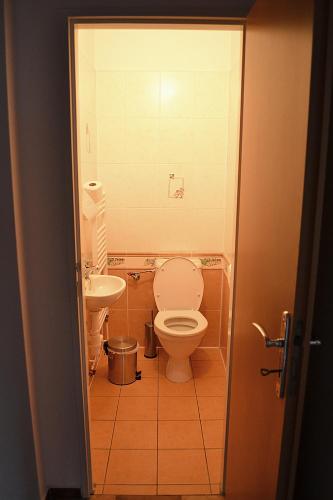 a small bathroom with a toilet and a sink at Chata Eliška in Loučná nad Desnou