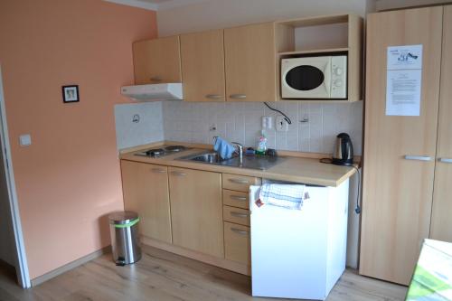 a small kitchen with a sink and a refrigerator at Chata Eliška in Loučná nad Desnou