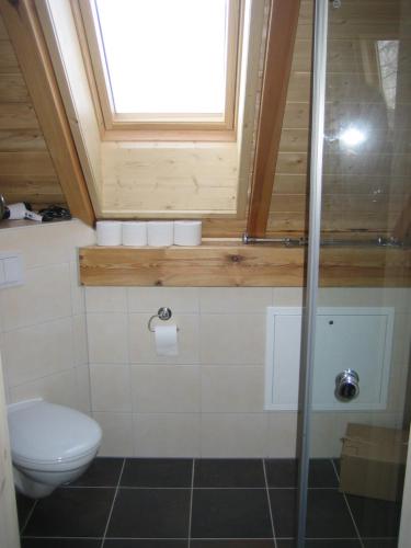 a bathroom with a toilet and a window at Ferienhaus auf dem Hof Lechner in Drieschnitz