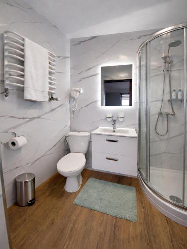 a bathroom with a toilet and a sink and a shower at Willa Fenix Busko-Zdroj Pokoje Goscinne & Agroturystyka in Busko-Zdrój