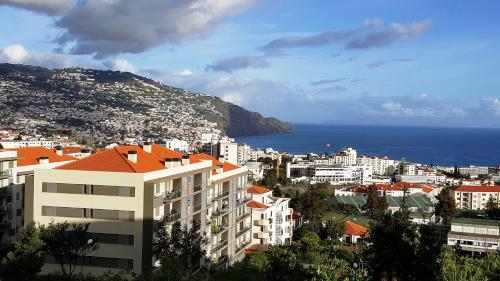 Vila Régia