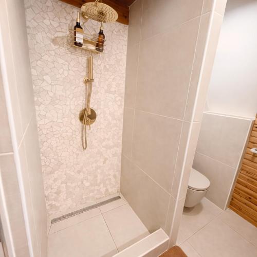 a bathroom with a shower with a toilet at Spicc house in Csopak