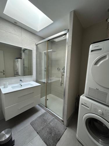 a bathroom with a shower and a sink and a washing machine at Appartement Bellegarde in Bellegarde