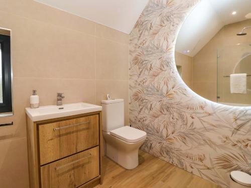 a bathroom with a toilet and a sink and a shower at Swing Bridge Cottage in Brandesburton