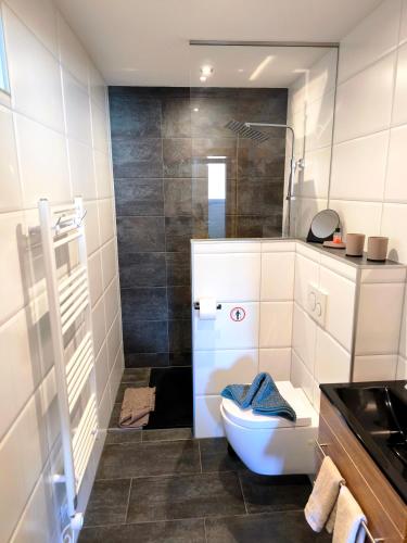 a bathroom with a toilet and a sink at Riverside Appartements in Lieserbrücke