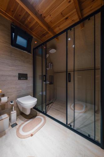 a bathroom with a toilet and a glass shower at Green date bungalow in Sapanca